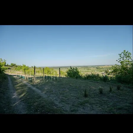 Orman Evi Posed Pod Hviezdami *